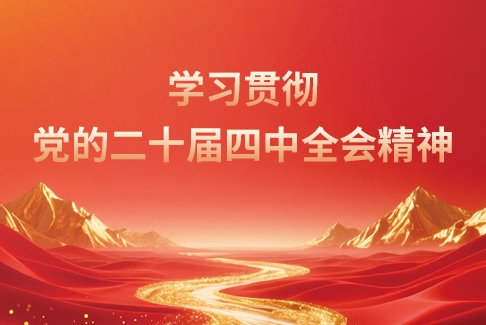 学习贯彻党的二十届四中全会精神